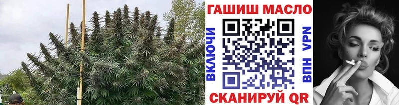 ТГК жижа  Купить закладки  Шатура 
